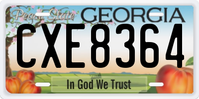 GA license plate CXE8364