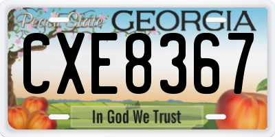 GA license plate CXE8367