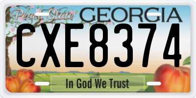 GA license plate CXE8374