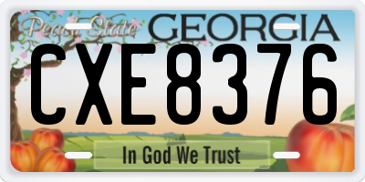 GA license plate CXE8376