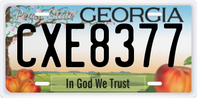 GA license plate CXE8377