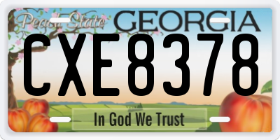 GA license plate CXE8378