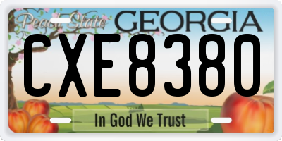 GA license plate CXE8380