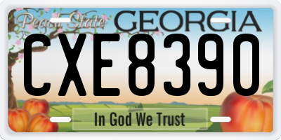 GA license plate CXE8390