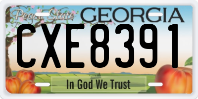 GA license plate CXE8391