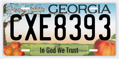 GA license plate CXE8393