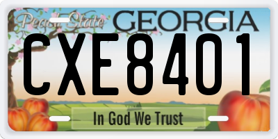 GA license plate CXE8401