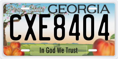 GA license plate CXE8404