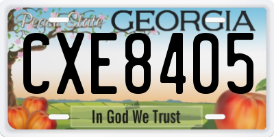 GA license plate CXE8405