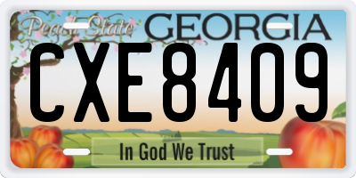 GA license plate CXE8409