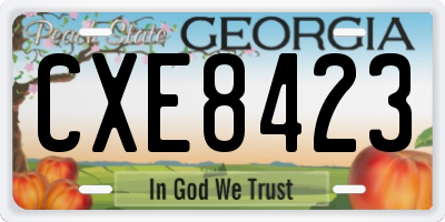 GA license plate CXE8423