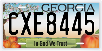 GA license plate CXE8445