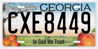 GA license plate CXE8449