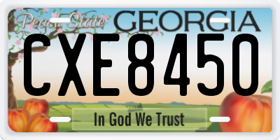 GA license plate CXE8450