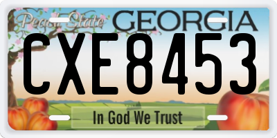 GA license plate CXE8453