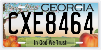GA license plate CXE8464