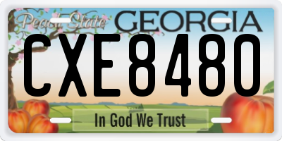GA license plate CXE8480