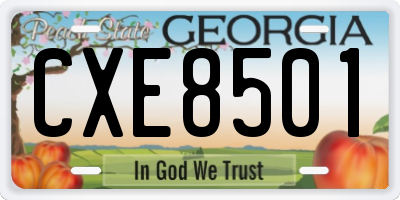 GA license plate CXE8501