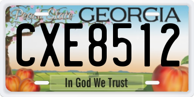 GA license plate CXE8512