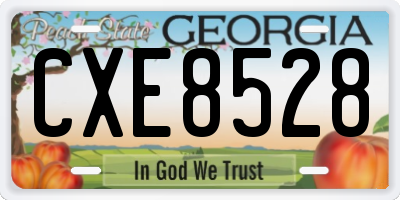 GA license plate CXE8528
