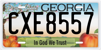 GA license plate CXE8557