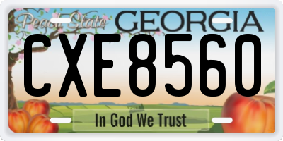 GA license plate CXE8560