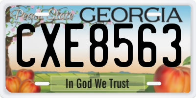 GA license plate CXE8563