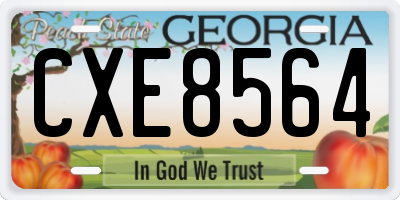 GA license plate CXE8564