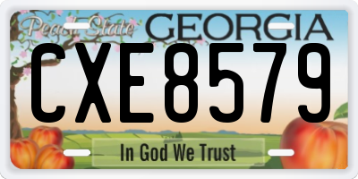 GA license plate CXE8579