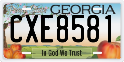 GA license plate CXE8581