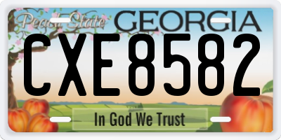GA license plate CXE8582