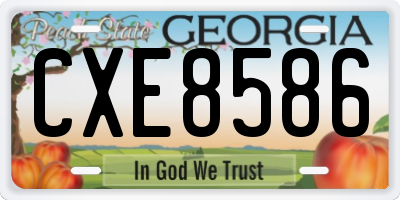 GA license plate CXE8586