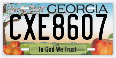 GA license plate CXE8607