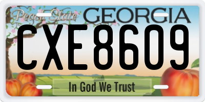 GA license plate CXE8609