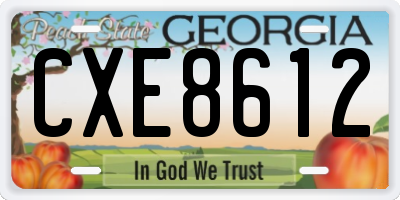 GA license plate CXE8612