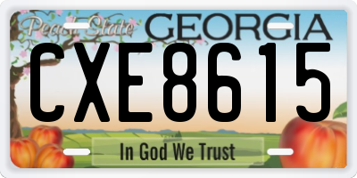GA license plate CXE8615