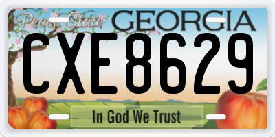 GA license plate CXE8629