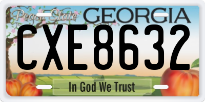 GA license plate CXE8632