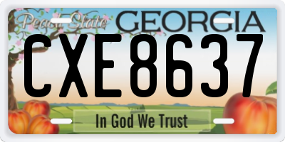 GA license plate CXE8637