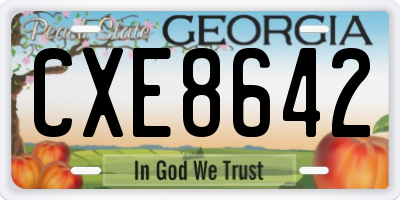 GA license plate CXE8642