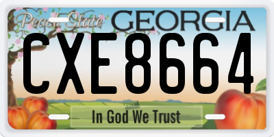 GA license plate CXE8664