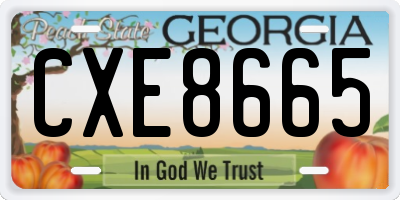 GA license plate CXE8665