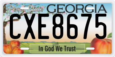 GA license plate CXE8675