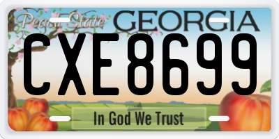 GA license plate CXE8699