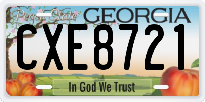 GA license plate CXE8721