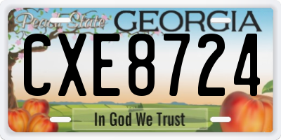 GA license plate CXE8724