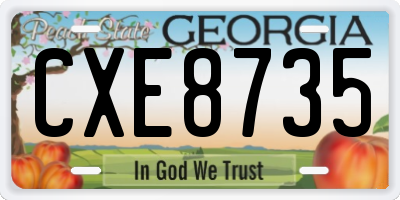 GA license plate CXE8735