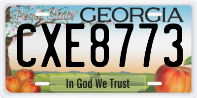 GA license plate CXE8773