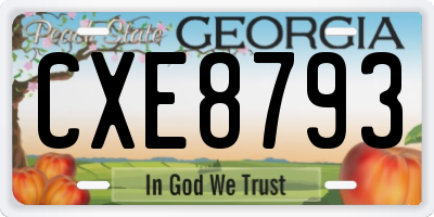GA license plate CXE8793