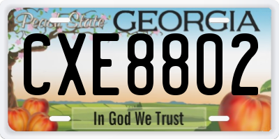 GA license plate CXE8802